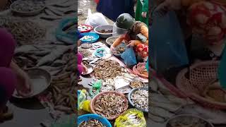 ตลาดปลาเวียดนาม Đồng Hới Quảng Bình Vietnam ดองฮอย กวางบินห์ ประเทศเวียดนาม