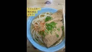 #うどん  #がもう  #坂出 #香川  #さぬきうどん 日本一 うまい  うどん