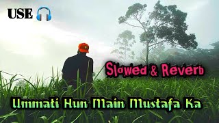 Ummati Hun Main Mustafa Ka Naat . Slowed and Reverb. Urdu Naat.