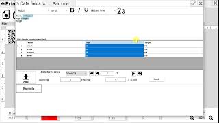 How to print Variable data and QR code from Rynan B1040P printer from Database