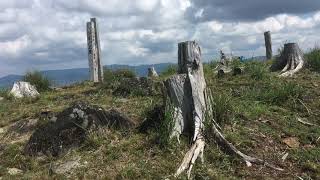 「阿舎利山」（宍粟50名山）、「一山（ひとつやま）」（宍粟50名山、ふるさと兵庫百山）　2021.8.29