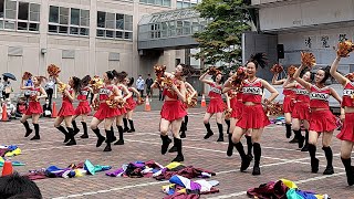 #yosakoiソーラン「 #コンサフリーク ～#北海道武蔵女子短期大学 ～」#清麗祭 2023年7月1日(土)