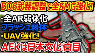 【CoD:BO6】マルチ武器調整で全SMG強化!『海外で大荒れしたARやフラッシュ弱体化してたが...AEKはやはり日本文化だった...』【実況者ジャンヌ】