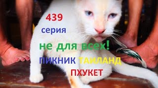 439 серия не для всех! Пикник ТАИЛАНД ПХУКЕТ