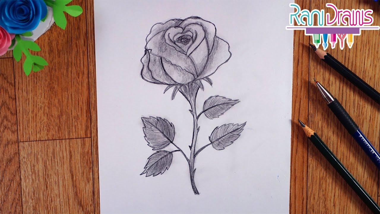 Cómo Dibujar Una ROSA Con LÁPIZ De Manera Fácil - Paso A Paso - YouTube