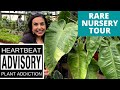 PLANTS THAT I’D NEVER SEEN BEFORE!!! 👁👁AMAZING PLANT NURSERY TOUR & HAUL / RARE AND UNUSUAL PLANTS