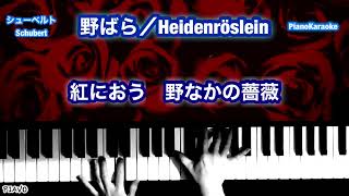 野ばら／シューベルト　Heidenröslein／Schubert【PianoKaraoke】日本語歌詞付き