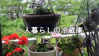 【70代を生きるNo.34】一人暮らしの冷蔵庫／ベランダ菜園／虫食いレタスの復活