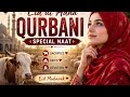 Eid ul Adha Special Naat 2026 | Spiritual Qurbani Kalam