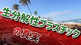 【現役設計者が語る】生分解性プラスチックってなに？【材料学】