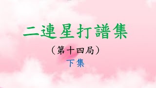 二連星打譜集｜第十四局(下集)