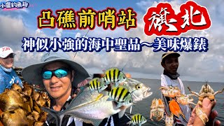 凸礁釣魚的前哨站「旗北」！有豐富的生態快來練一下吧⋯⋯