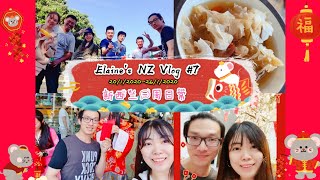 Elaine's NZ 新西兰/紐西兰 vlog #7 | 除夕煮木耳甜品🥣 | 第一次在国外奥克兰过春节🧨 | 大年初一节目满满🍡🧧| 快乐BBQ海边野餐🥓🍗🦐