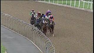 20191113 Hollywoodbets Greyville express clip Race 4 won by DOWN TO EARTH