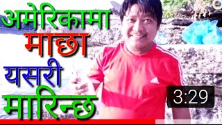 अमेरिकामा नेपाली हरुले आक्षेप माछा यसरी मारे| Fishing carp by Nepalese people in America।