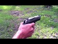 taurus pt 809