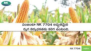 సాటిలేని పనితీరు, అసాధారణ నాణ్యత NK7704