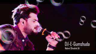 Dil-E-Gumshuda OST By Nabeel Shoukat Ali With Lyrics