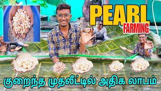 500 ரூபாய் இருந்தால் போதும் - அதிக லாபம் பெறலாம் Business Idea, Profitable business Tamil #business