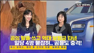 곰의 탈을 쓴 보험 사기범들..롤스로이스 차량 파손 하고 억대 보험금 타..곰들도 충격!