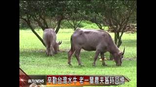 20120410 辛勤台灣水牛 老一輩農夫舊時回憶