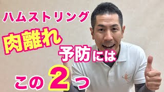 【肉離れ】予防するならこの2つ！ハムストリングの肉離れについて〈明石市 整体 くにや整骨院〉