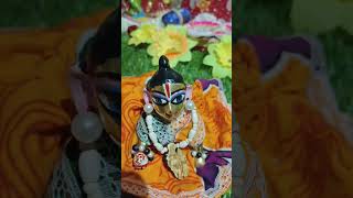 laddugopal new dance video #joy radhe joy Siri krishna #shorts #youtubeshort #plesesubscribe