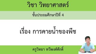 วิทยาศาสตร์ ป.4 เรื่อง การคายน้ำของพืช