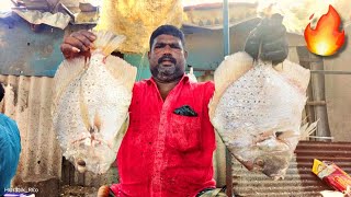 SPOTTED SICKLE (சிராட்டி/பசந்தி மீன்) FISH CUTTING💥| KASIMEDU RAJA FISH CUTTING | FULL HD | CKFC