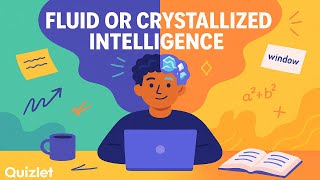 Crystallized Intelligence | Psychology Explained (Fluid vs. Crystallized Intelligence)