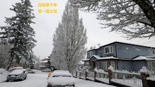 The first heavy snowfall in Vancouver since last winter, such a beautiful view! 今晨溫哥華下了第一場自去年冬天以來的大雪