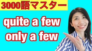 【3000語マスター164】かなりたくさんquite a few、ほんのすこしだけonly a few　5例文×10回＝50回音読