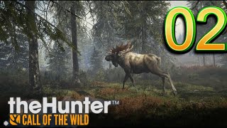 the Hunter COTW--BAGGING GAME For $$$$