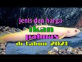 jenis dan harga ikan palmas di tahun 2021