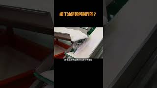 你吃过椰子油吗？这种通过冷榨法榨取的椰子油，真的营养又健康#椰子油 #制作过程 #椰子油煎蛋