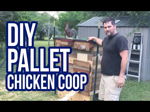 DIY Pallet Chicken Coop DIY Pallet Chicken Coop