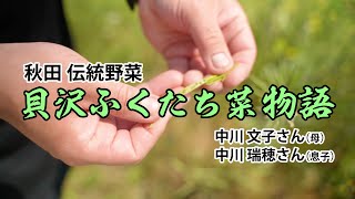 貝沢ふくだち菜(あきた伝統野菜)