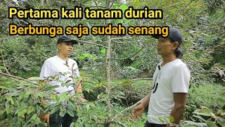 PERTAMA KALI TANAM DURIAN, BARU BERBUNGA SAJA SUDAH SENANG