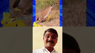 #అన్న...మీ డాన్స్ కు నా నమస్కారం😅😅👍#youtubeshorts#comedy