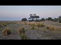 Ihaha Campsite Chobe National Park Botswana