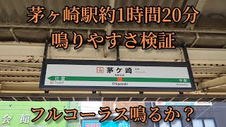 【フルコーラス鳴るか？】茅ヶ崎駅で約1時間20分鳴りやすさ検証してみた結果 第49弾