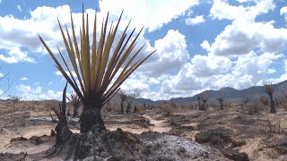 Storms could threaten desert firefighting efforts