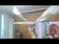 rc flying bird _ 하늘을 나는 새 720mm _ ornithopter ornithopter flapping_wing rc_bird 알씨버드