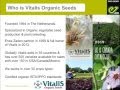 Vegetable Seed Production: Scaling Up: Andrew Rainey, Enza Zaden-Vitalis