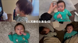 赤ちゃんたちとママのとある1日