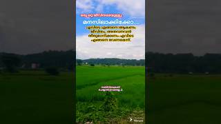 ഒറ്റ ജീവിതമേയുള്ളു. എവിടെ എങ്ങിനെന്നു നമ്മൾ തീരുമാനിക്കണം #motivation #godmotivation @Shorts