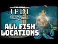 All Fish Locations Star Wars Jedi Survivor