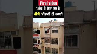 Viral video: ਔਰਤ ਨੇ ਬਿਨਾਂ ਡਰ ਤੋਂ ਕੀਤੀ 'ਦੀਵਾਲੀ ਦੀ ਸਫਾਈ