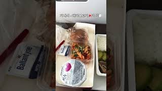 아시아나항공🇰🇷 오키나와🇯🇵🏝️가는  기내식🍽️은 뭐가 나올까❓ | Okinawa Asiana airlines✈️ flight meal