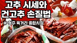 건고추 마늘 시세변화 / 시장물가/  과일 야채 생선 시세/고추손질법/고추20근 나오는 고추가루 근수/